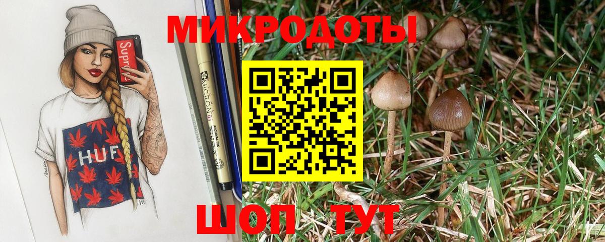 Галлюциногенные грибы Psilocybe Анжеро-Судженск